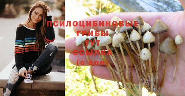 метадон Нягань