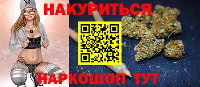 крисы Кандалакша