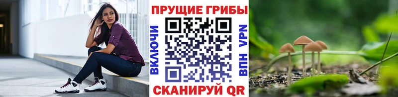 Галлюциногенные грибы Psilocybe  Тулун 